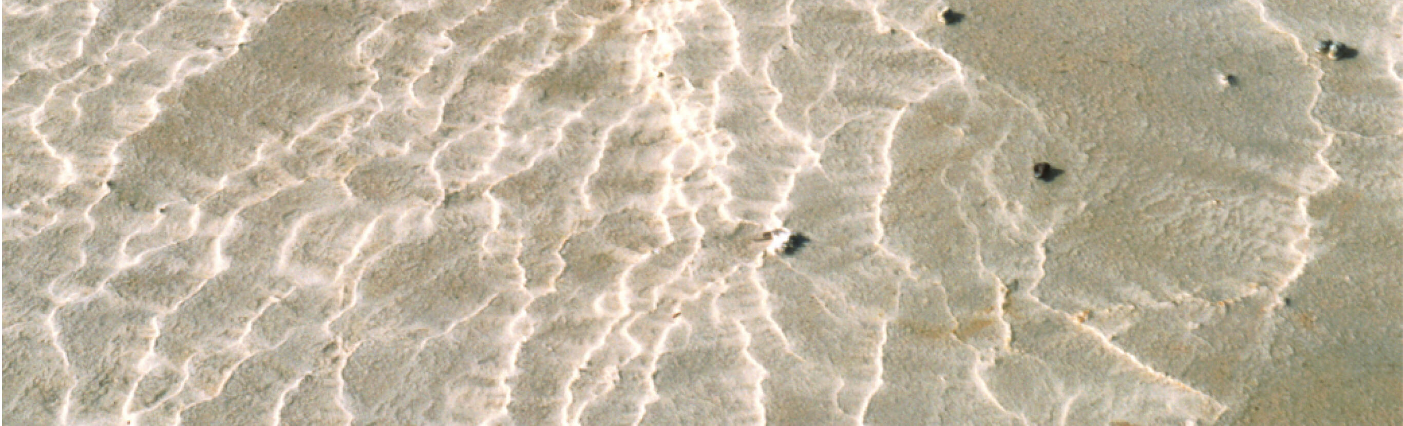 静岡県藤枝市のシミ特化ケアフェイシャルサロンN+Beauty